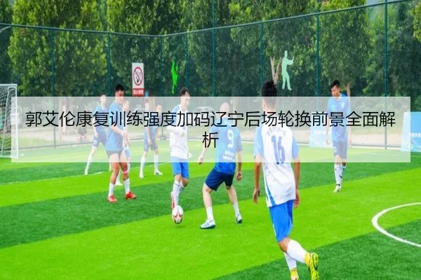 郭艾伦康复训练强度加码辽宁后场轮换前景全面解析